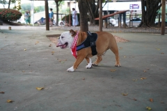 B0003466