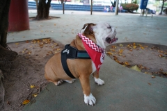 B0003482
